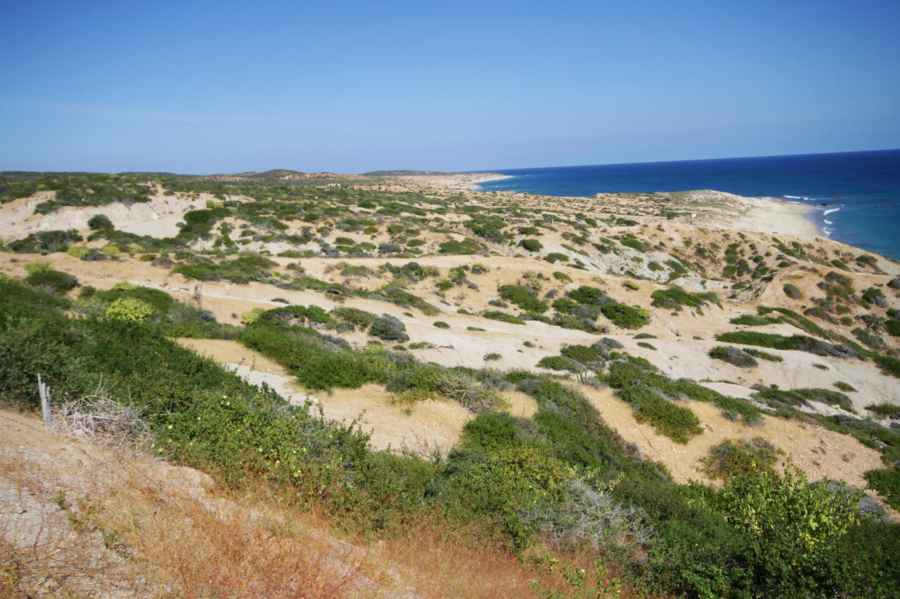 Vidasoul Boca de la Vinorama المظهر الخارجي الصورة
